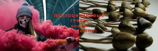 мяу мяу мука Абинск