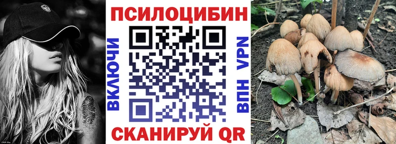 даркнет как зайти  Североморск  Галлюциногенные грибы Psilocybine cubensis 